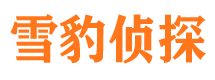 南关寻人公司